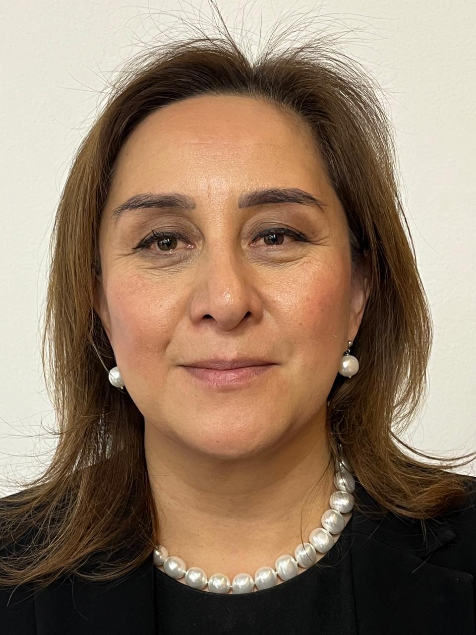 Mtra. Hannia Ingrid Salinas González